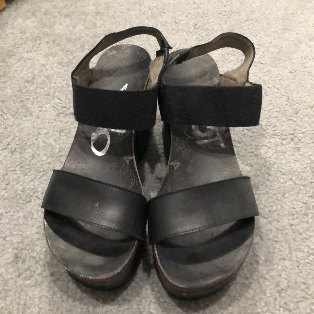 OTBT Bushnell Wedges